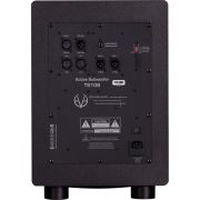 EVE AUDIO SUBWOOFER TS108